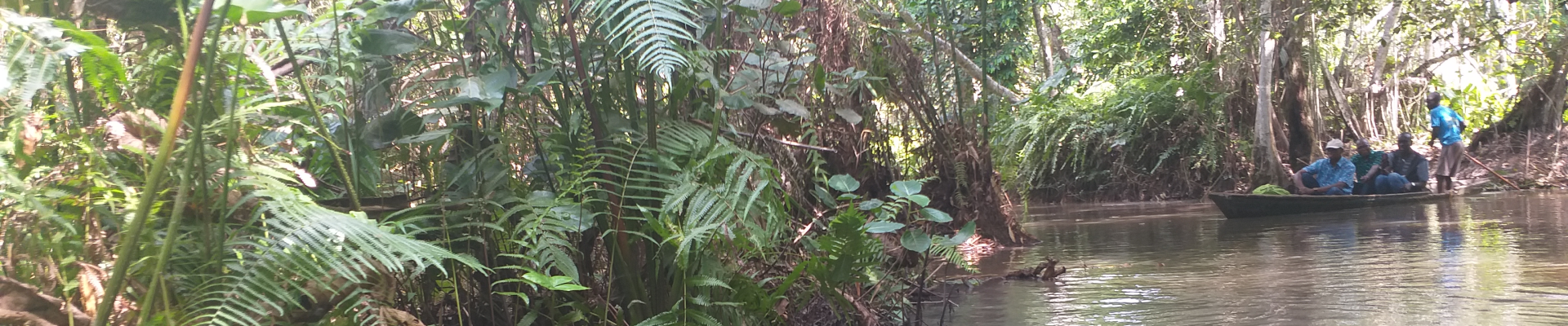 Natural Resources Management