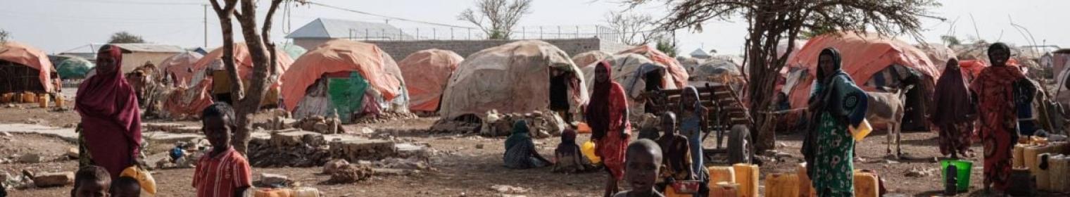 Service d’alerte précoce sur la vulnérabilité à l’insécurité alimentaire et nutritionnelle 